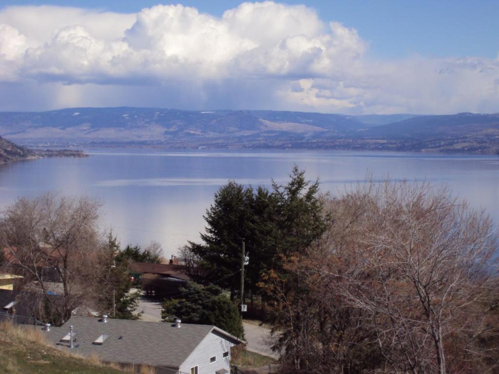 A Day'S Dream B&B Пичленд Номер фото